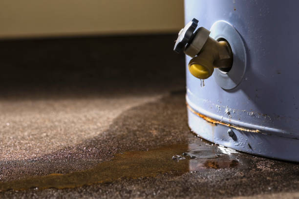 Best Fire Damage Restoration  in Catasauqua, PA