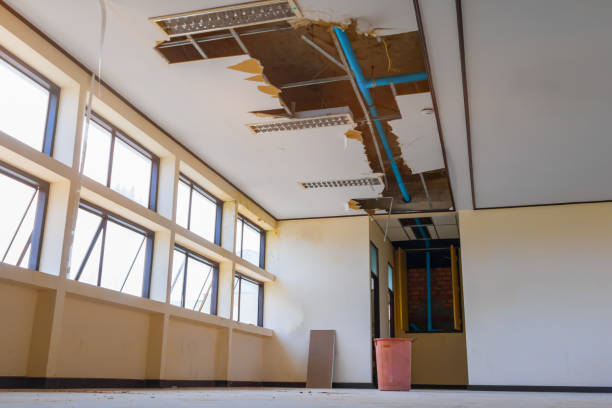 Best Flood damage cleanup  in Catasauqua, PA