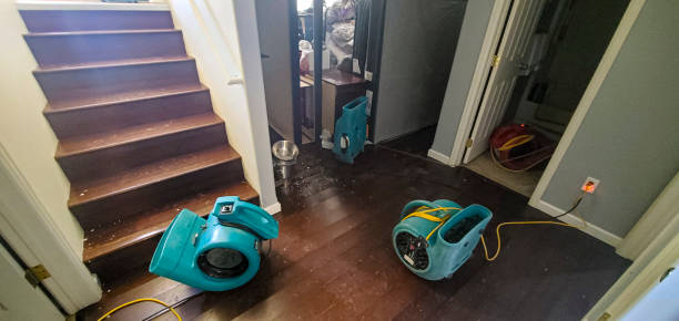 Best Water damage restoration specialists  in Catasauqua, PA