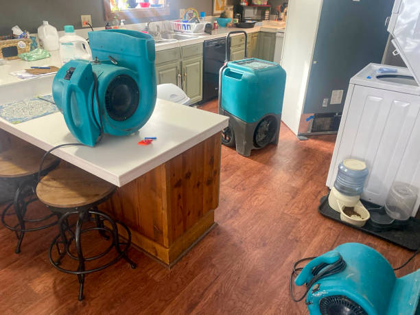 Trusted Catasauqua, PA Water damage restoration Experts