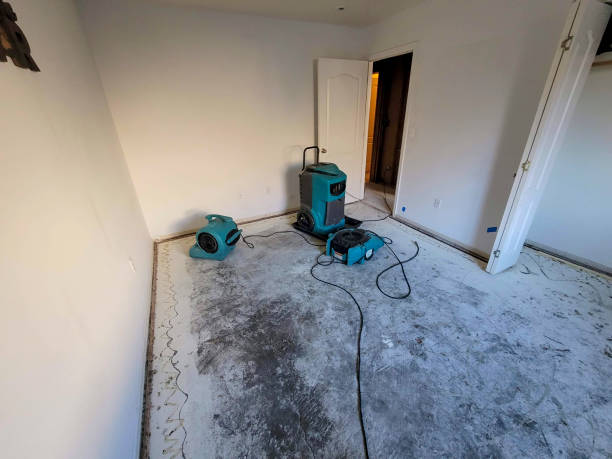 Water damage restoration insurance claims in Catasauqua, PA