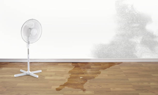 24/7 water damage repair in Catasauqua, PA
