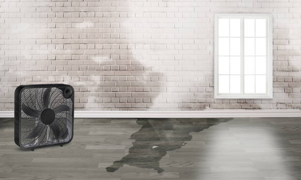 Best Residential water damage restoration  in Catasauqua, PA