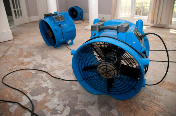 Best Residential water damage restoration  in Catasauqua, PA