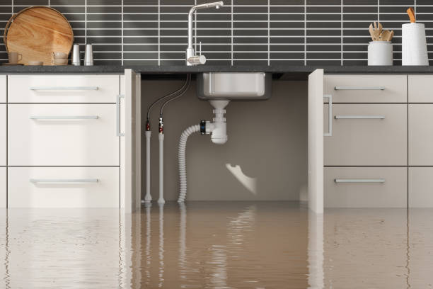 Best Water damage cleanup near me  in Catasauqua, PA