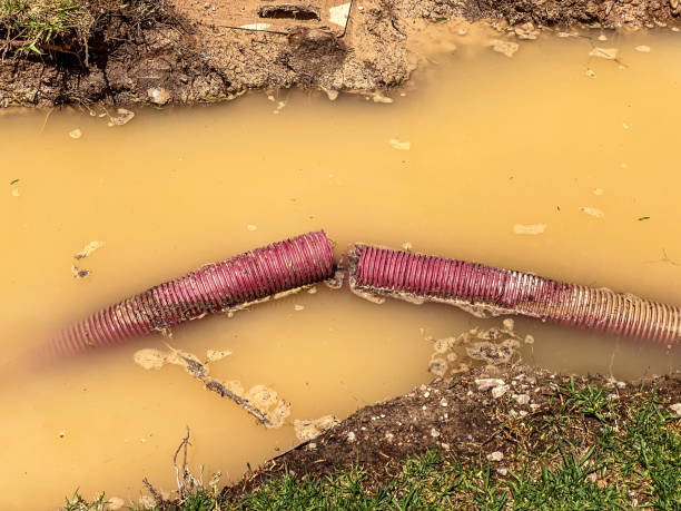 Best Carpet water damage restoration  in Catasauqua, PA